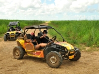 Buggies Bayahibe