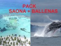 PACK Saona Premium / Samaná Ballenas